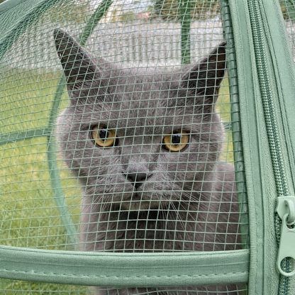 Outdoor Cat Playpen